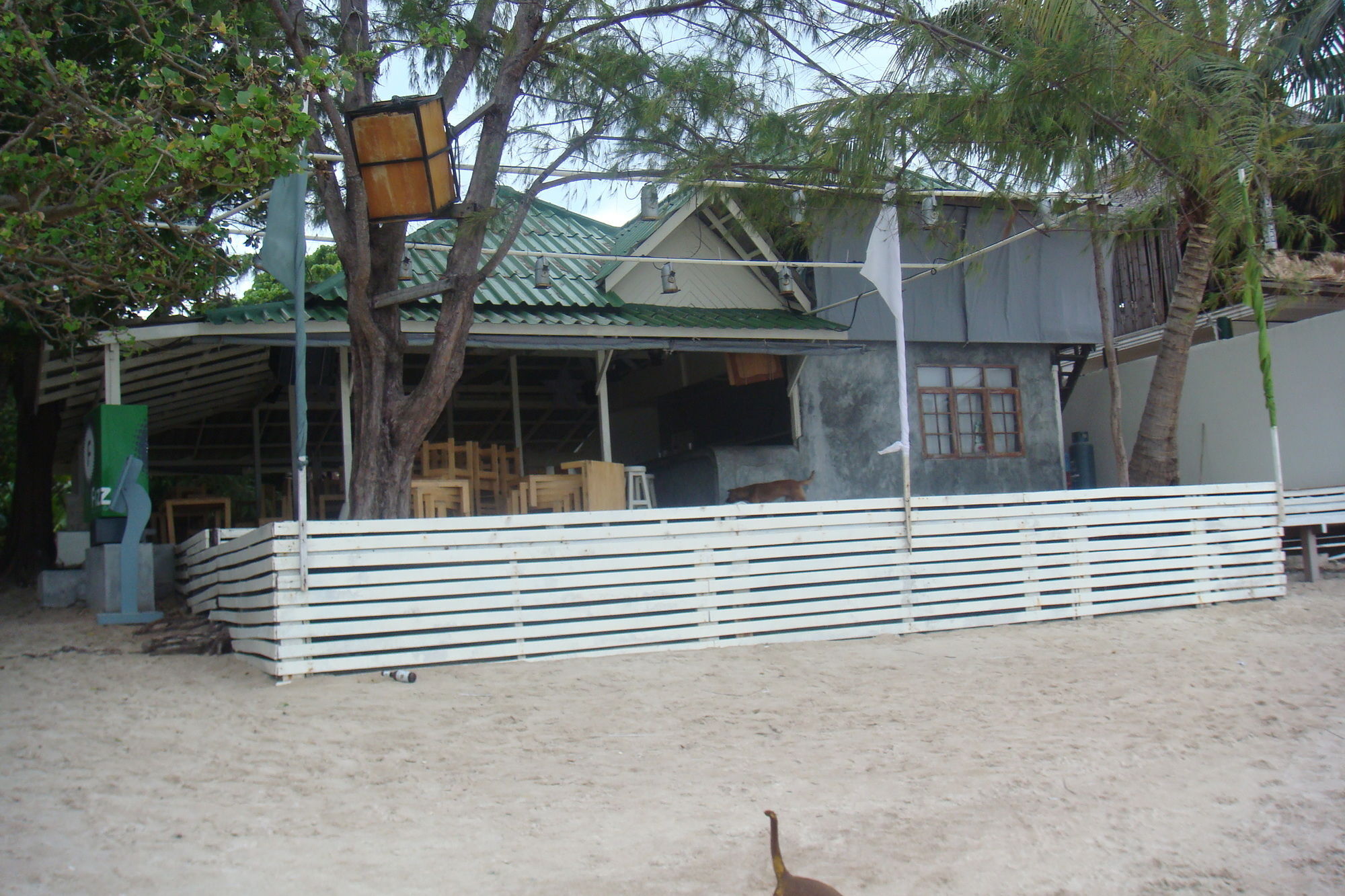 Silver Sands Beach Resort Ко Тао Екстериор снимка